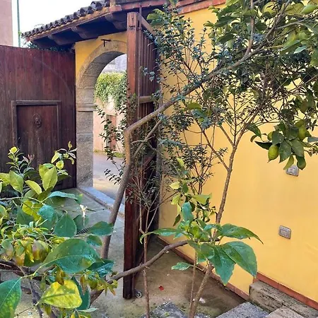 Aventina Burcei